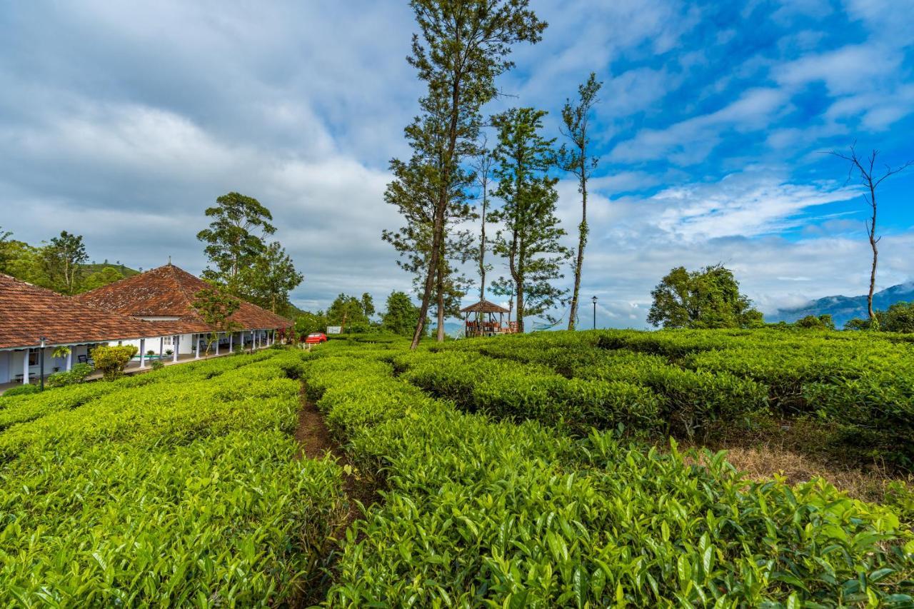 Zostel Plus Wayanad Kalpatta Exteriér fotografie