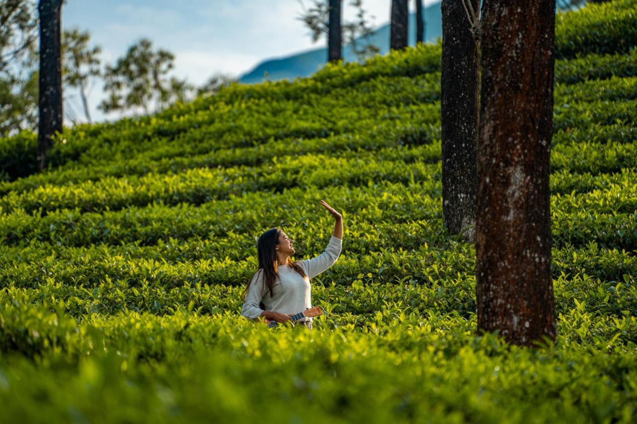 Zostel Plus Wayanad Kalpatta Exteriér fotografie