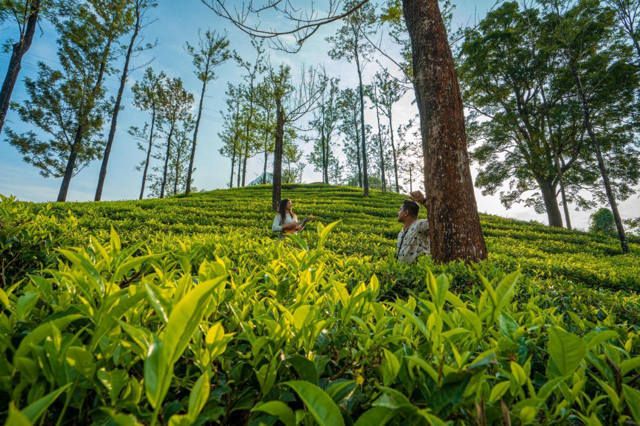 Zostel Plus Wayanad Kalpatta Exteriér fotografie